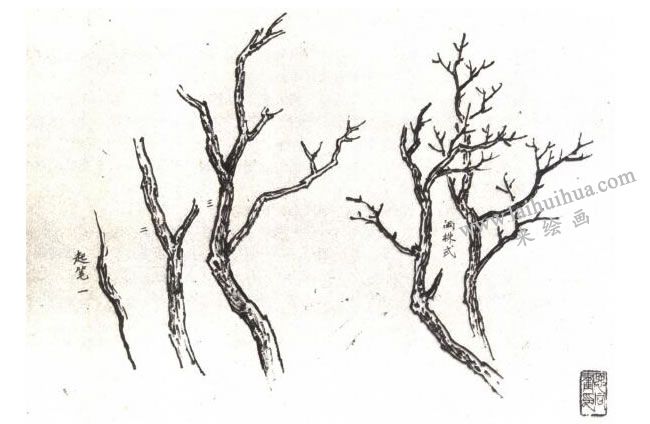 中国画的画树技法(国画技法图例 小南美术网