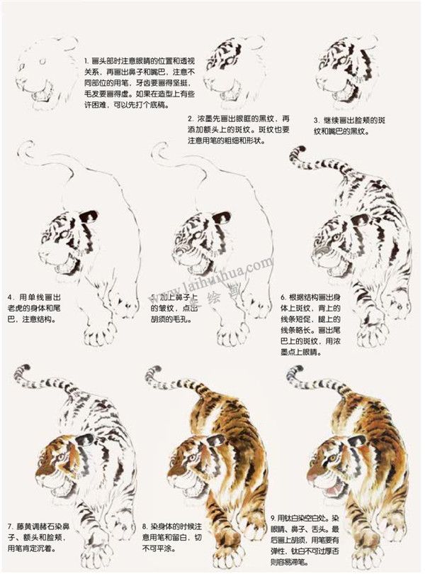 老虎的简易画法步骤图片