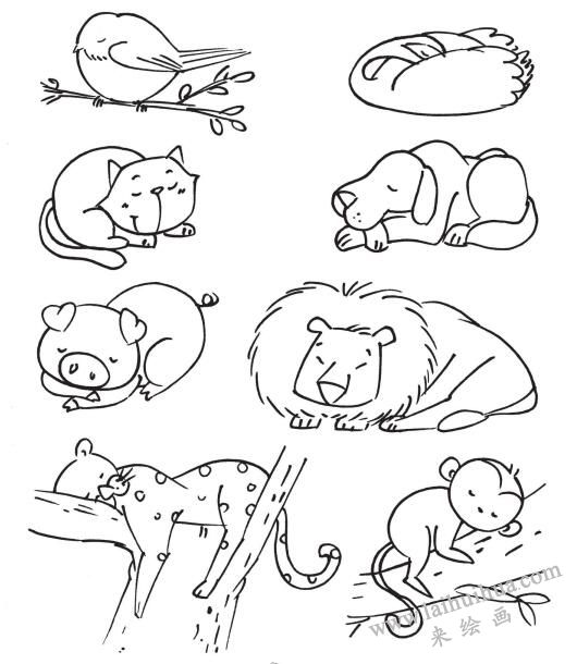 儿童画冬眠动物简笔画图片