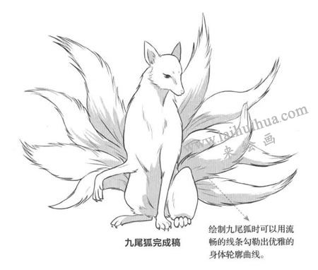九尾狐狸 素描画图片