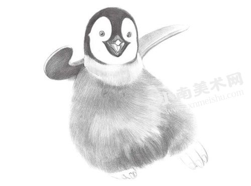 滑翔的企鹅素描绘制步骤图示解析,素描滑翔的企鹅画法